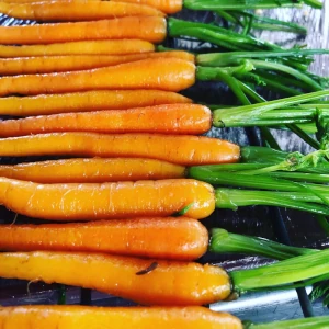 Saftige, leckere Karotten stehen für hochwertige Zutaten beim Fingerfood Catering in Hamburg